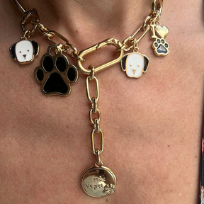 Colar Pet Dog